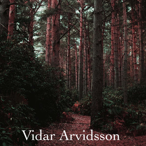 麻豆口交台湾妹
